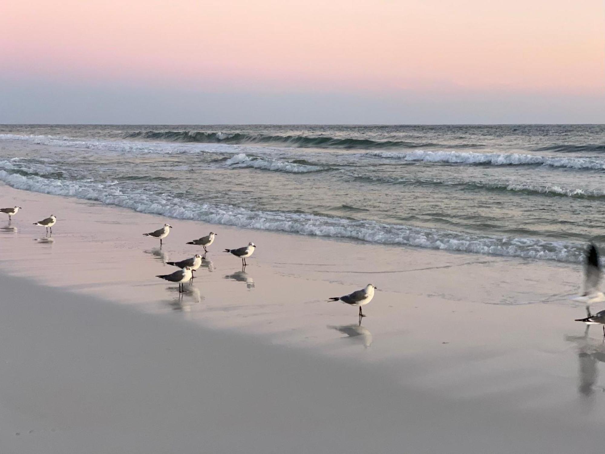 Nautilus 2408 Gulf View 2 Bedroom 4Th Floor Free Beach Service Fort Walton Beach Exterior foto