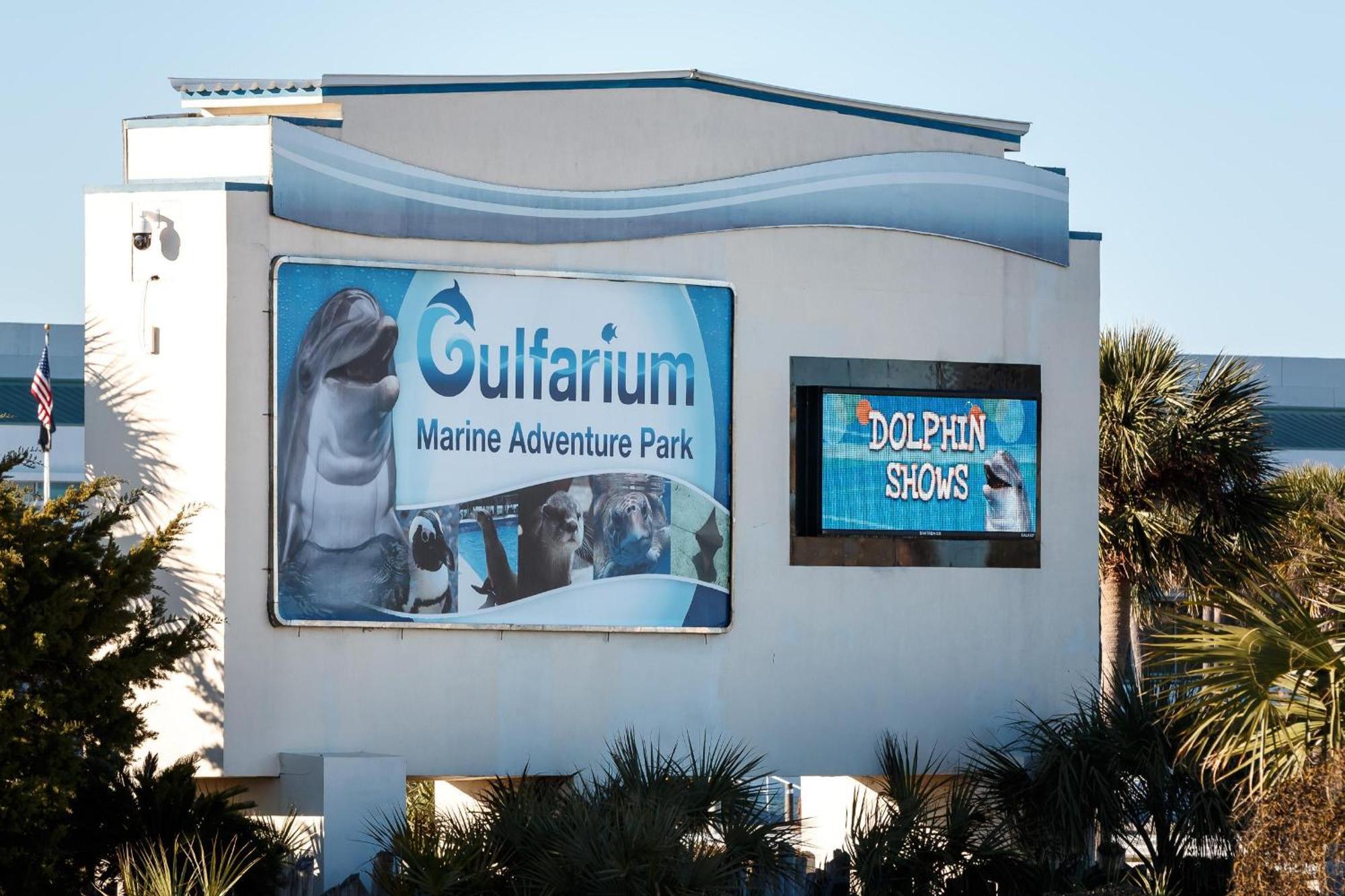 Nautilus 2408 Gulf View 2 Bedroom 4Th Floor Free Beach Service Fort Walton Beach Exterior foto